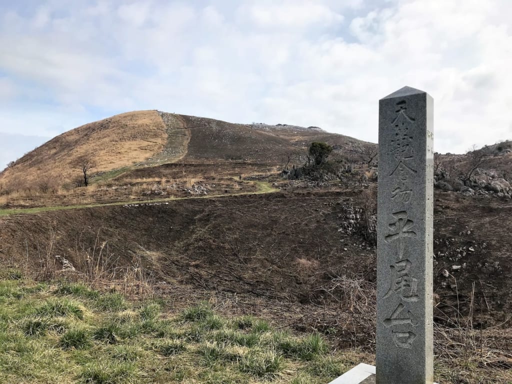 平尾台自然の郷　野焼き
